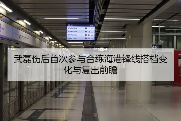 武磊伤后首次参与合练海港锋线搭档变化与复出前瞻